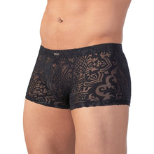Lade das Bild in den Galerie-Viewer, Herren Pants M-XL transparent &quot;Ludwig&quot;
