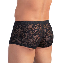 Lade das Bild in den Galerie-Viewer, Herren Pants M-XL transparent &quot;Ludwig&quot;
