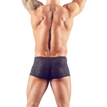 Lade das Bild in den Galerie-Viewer, Herren Pants M-XL transparent &quot;Ludwig&quot;
