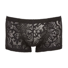Lade das Bild in den Galerie-Viewer, Herren Pants M-XL transparent &quot;Ludwig&quot;
