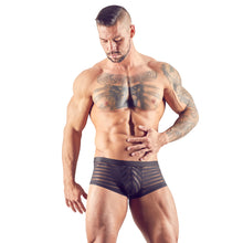 Lade das Bild in den Galerie-Viewer, Herren Pants M - XXL transparent mit Streifen "Bedi"